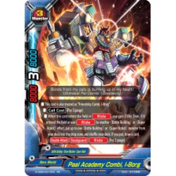 Buddyfight card...