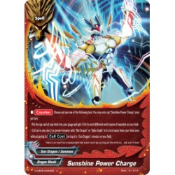 Buddyfight card Foil...