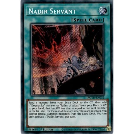 YGO ROTD-EN052 Serviteur de Nadir  / Nadir Servant
