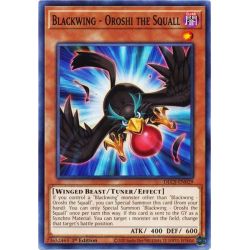 YGO DLCS-EN029 Blackwing - Oroshi the Squall