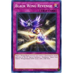 YGO DLCS-EN033 Black Wing Revenge