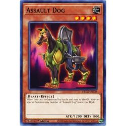 YGO DLCS-EN035 Assault Dog