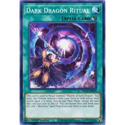YGO DLCS-EN070 Rituel du Dragon Noir  / Dark Dragon Ritual