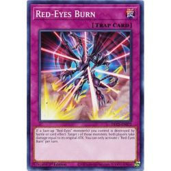 YGO DLCS-EN072 Brûlure des Yeux Rouges  / Red-Eyes Burn