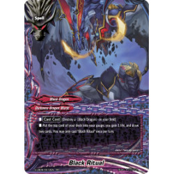 Buddyfight card...