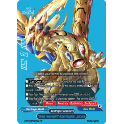 Buddyfight card...