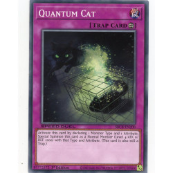 YGO SBCB-EN200 C Quantum Cat