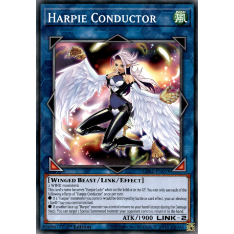 LDS2-EN078 Harpie Conductor Common 1st Edition Mint YuGiOh Card