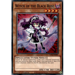 YGO LDS2-EN097 C Witch of...